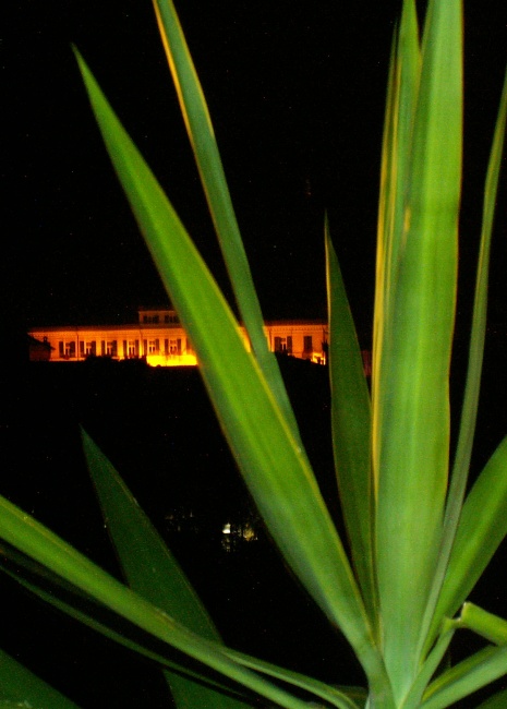 Municipio tra i fiori