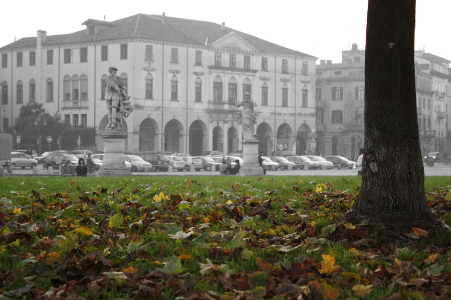 l'autunno un prato della valle