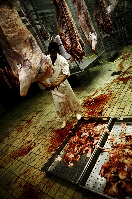 hell's kitchen (da:una giornata al mattatoio)