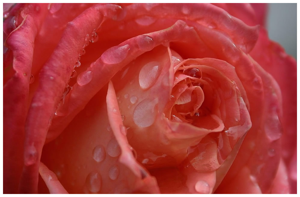 Goccie di delicatezza