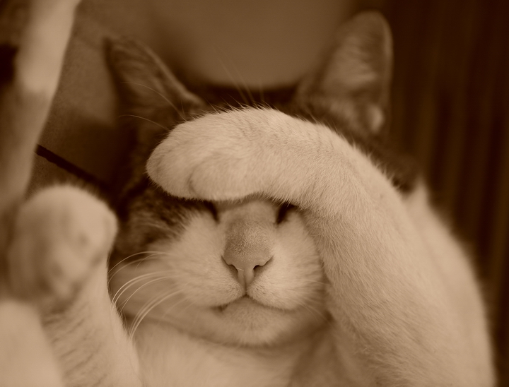 che fastidio quella luce