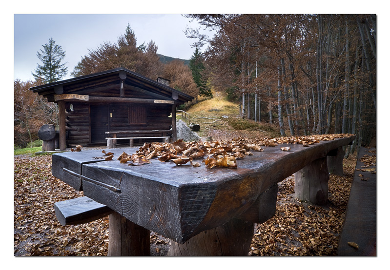 Autunno...ritorno al silenzio