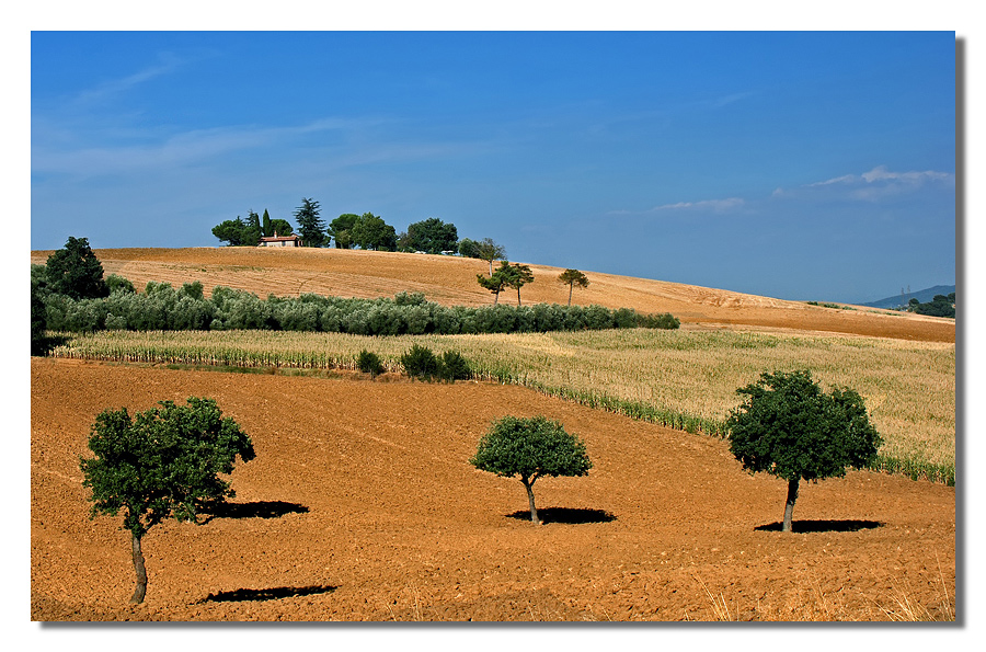 Terre Trasimene 11