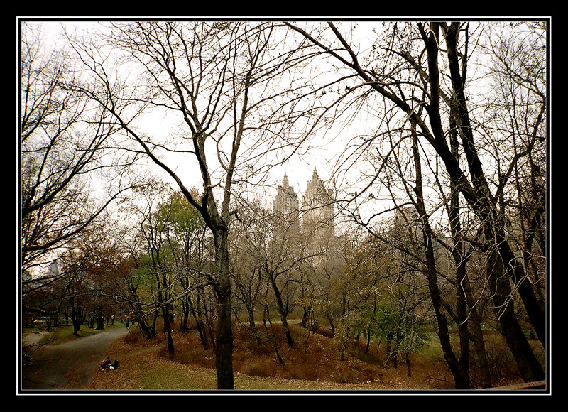 Novembre a Central Park