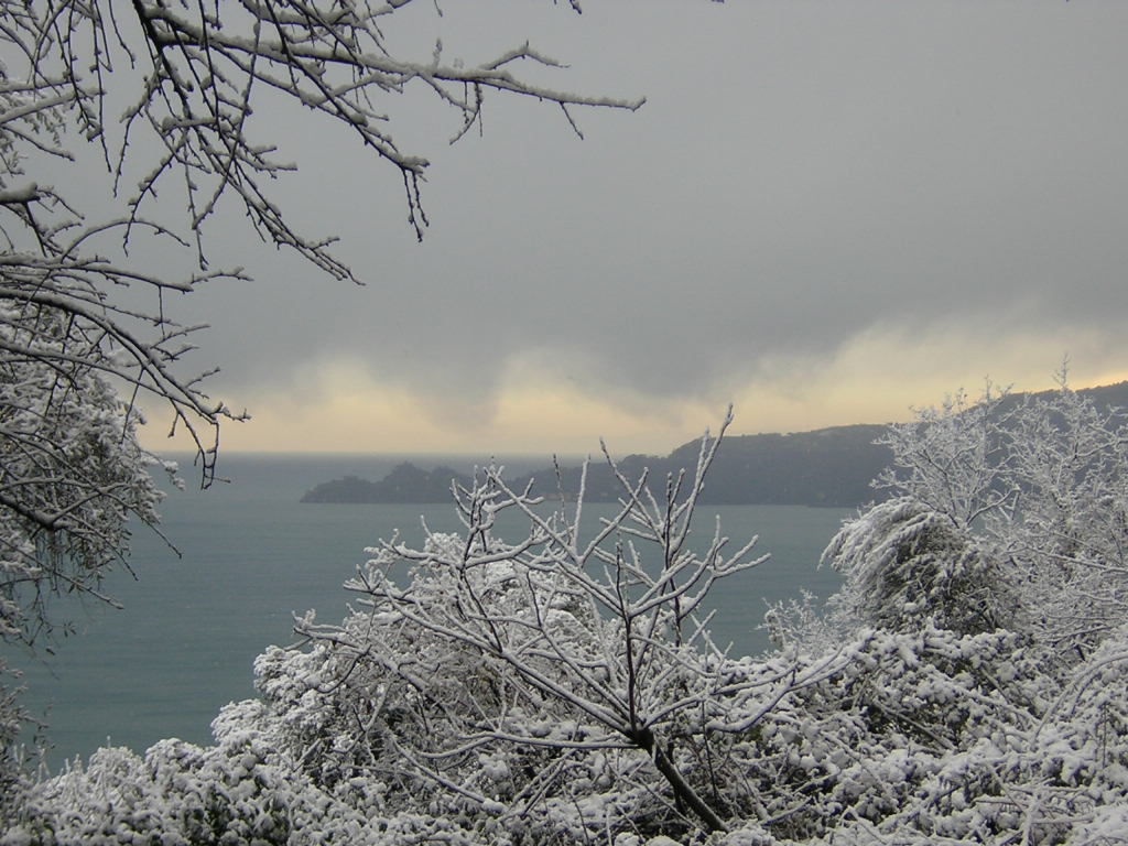 neve a portofino
