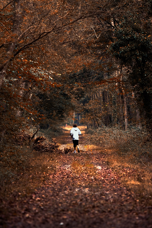 Correre nel bosco d'autunno