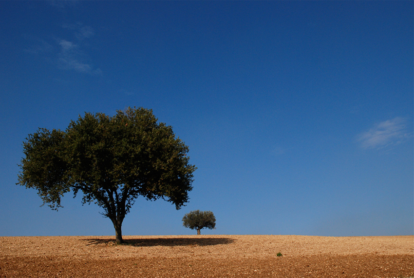 Paesaggio marchigiano