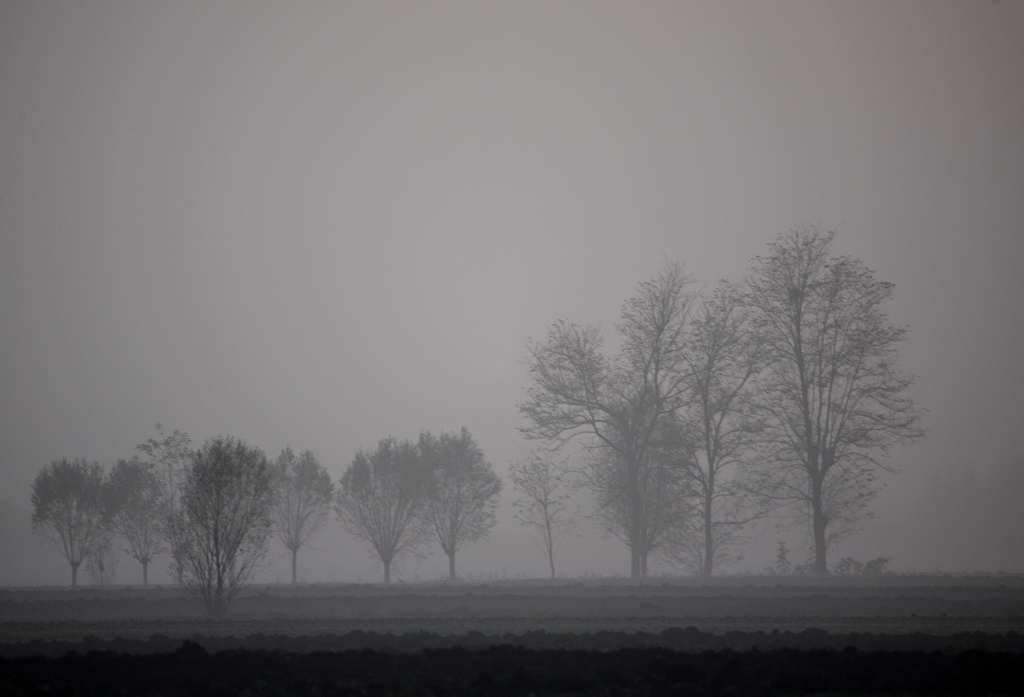 delta del po tramonto con nebbia