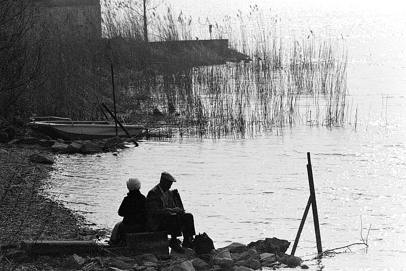 La sponda della vita