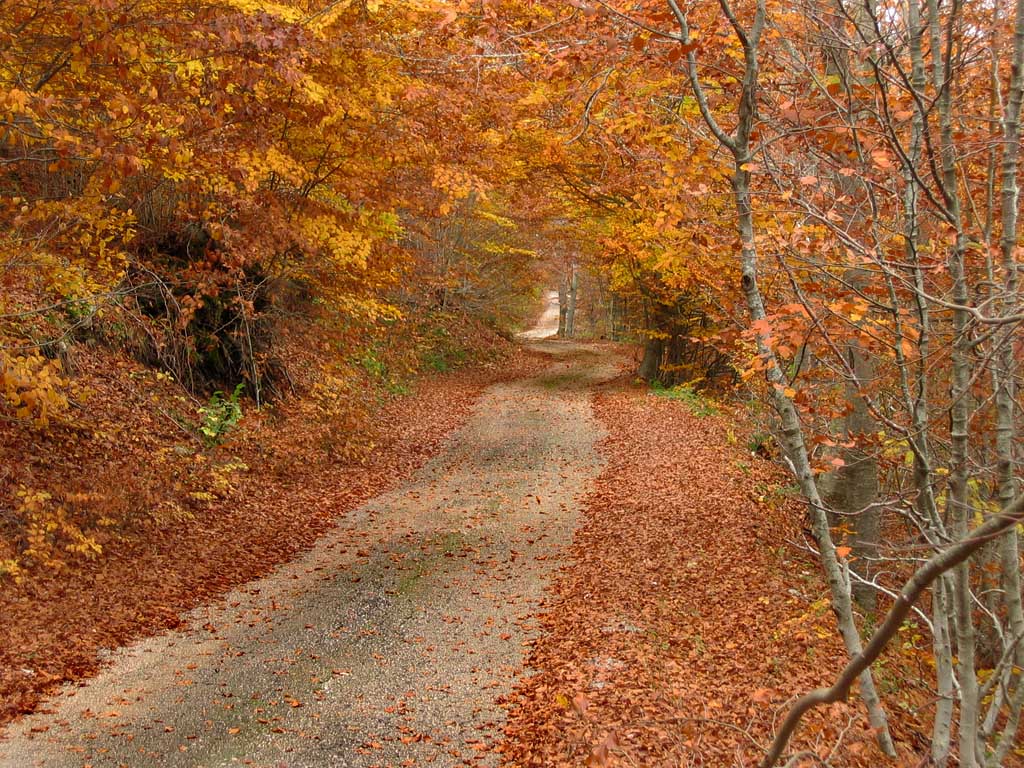 Altopiano di Rascino_1