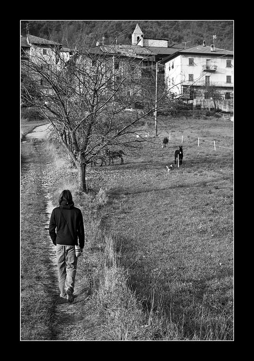 Un Ragazzo,il Cane e degli Asini