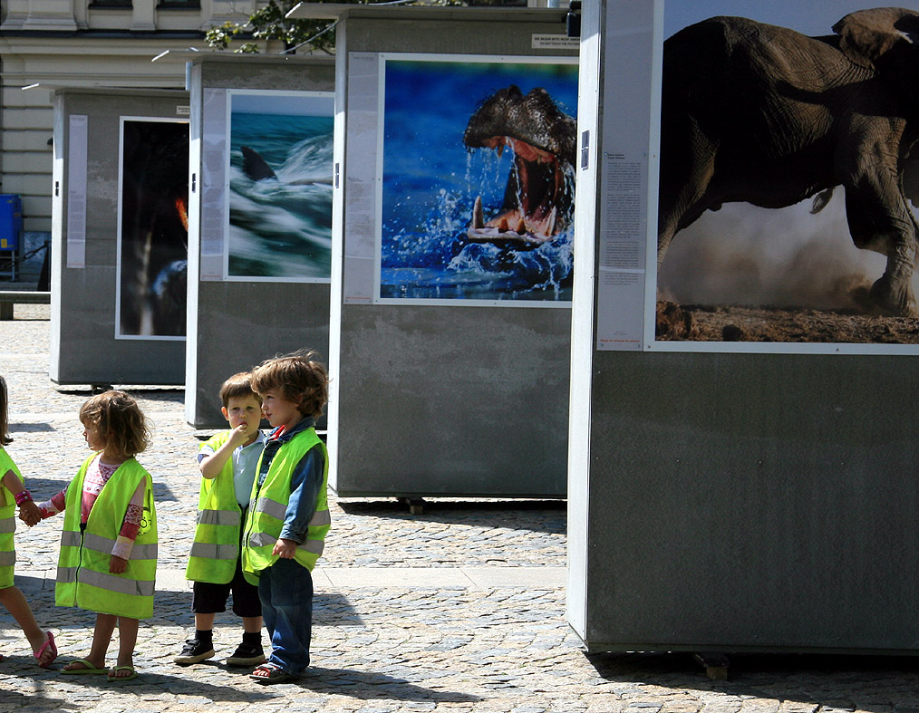 ANDIAMO A SCURIOSARE...