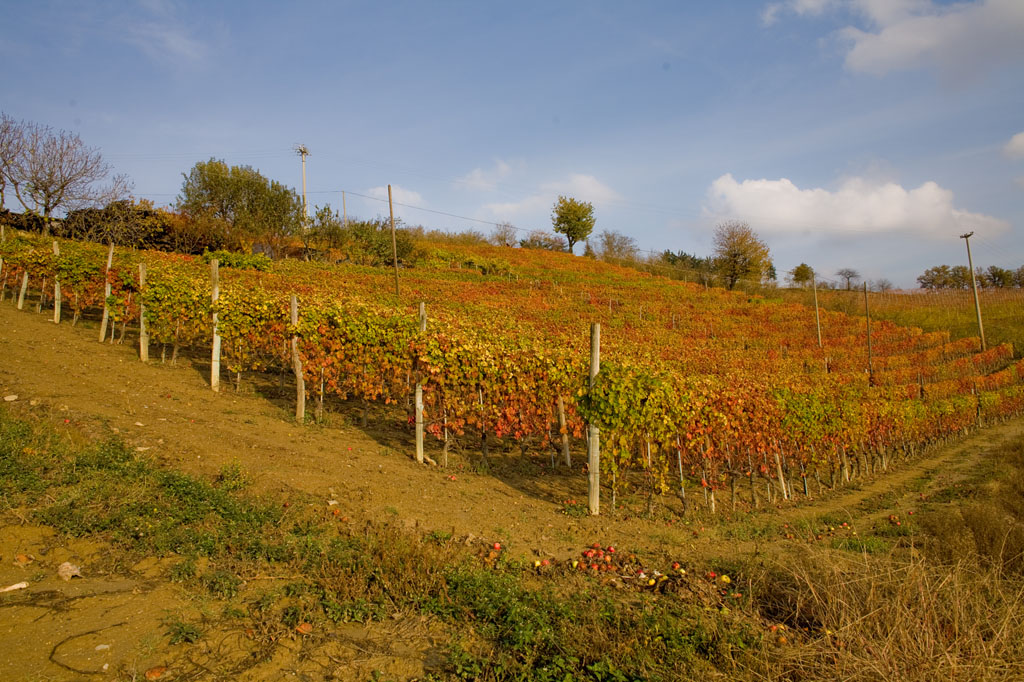 Langhe -Sinio 3-