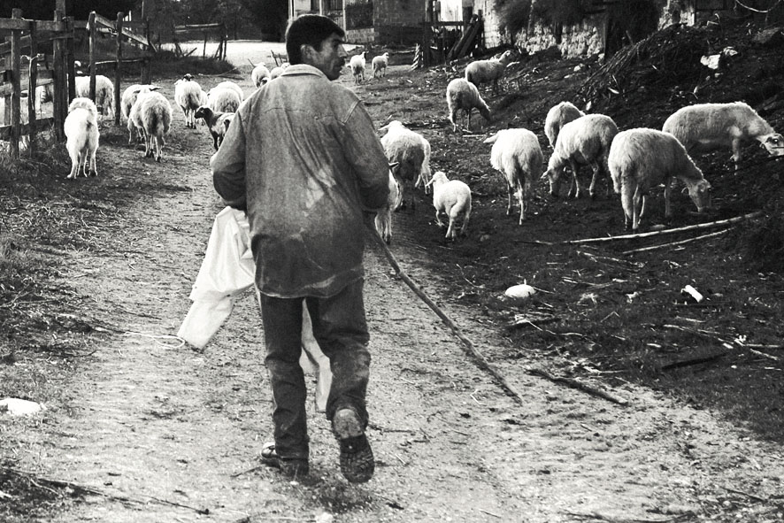 Mercedes (ritratti a un Rom)