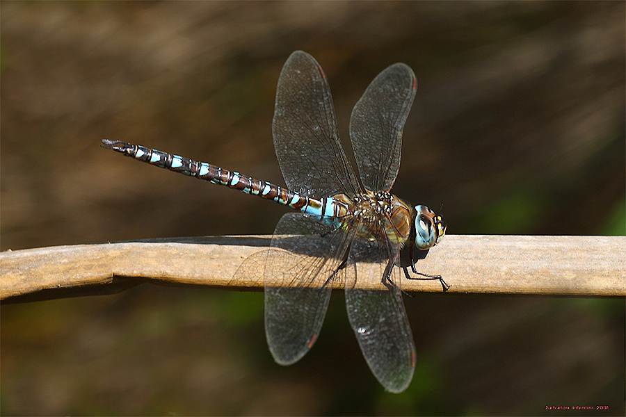 Pronta Per Il Decollo !!!