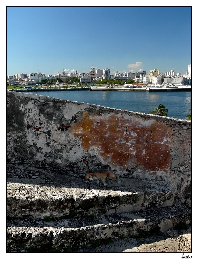 ...La Habana 2008...