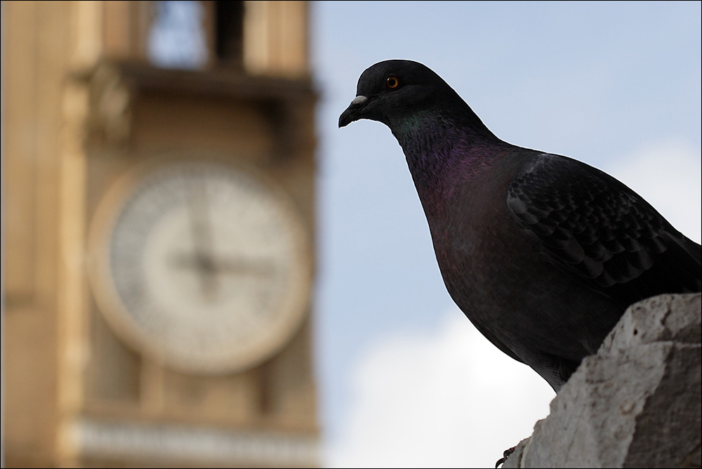 ..sono le 14 e 59 .....