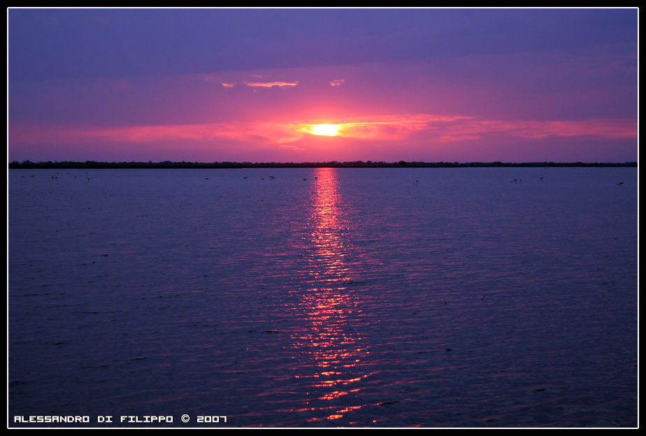 Tramonto in Camargue