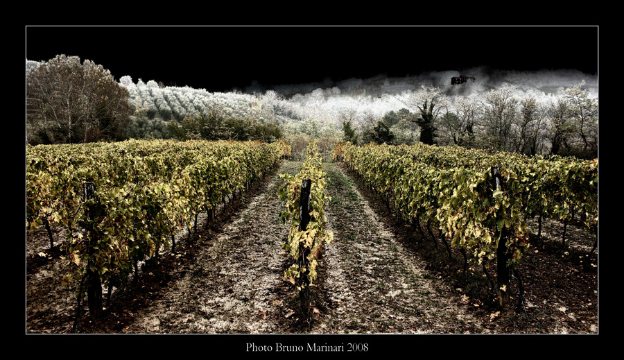 Nuove tonalit� autunnali in Toscana