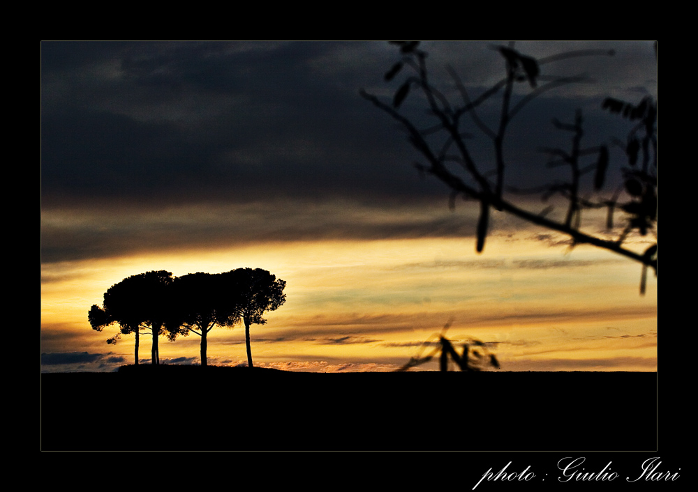 I guardiani della notte