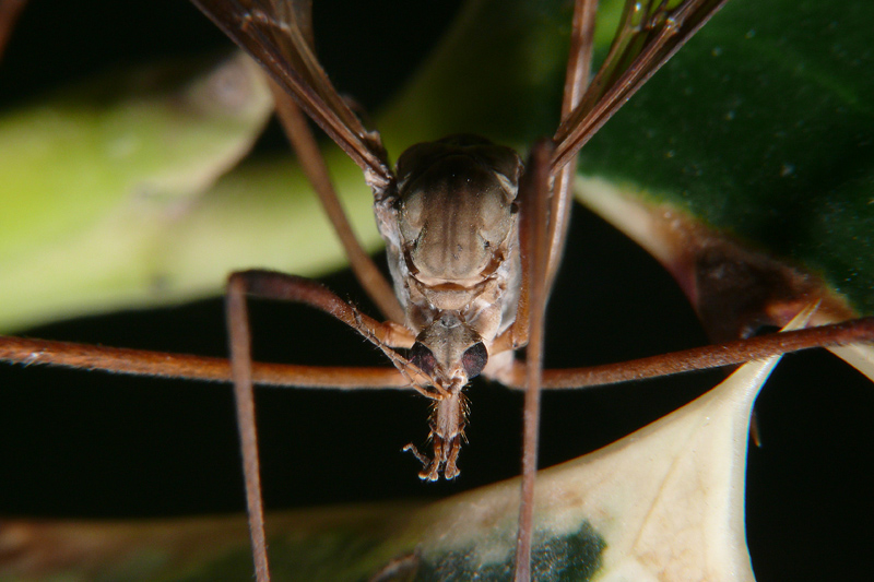 e tu.. dove credi di andare!