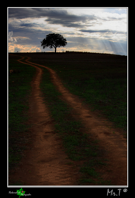 La strada per il tramonto...
