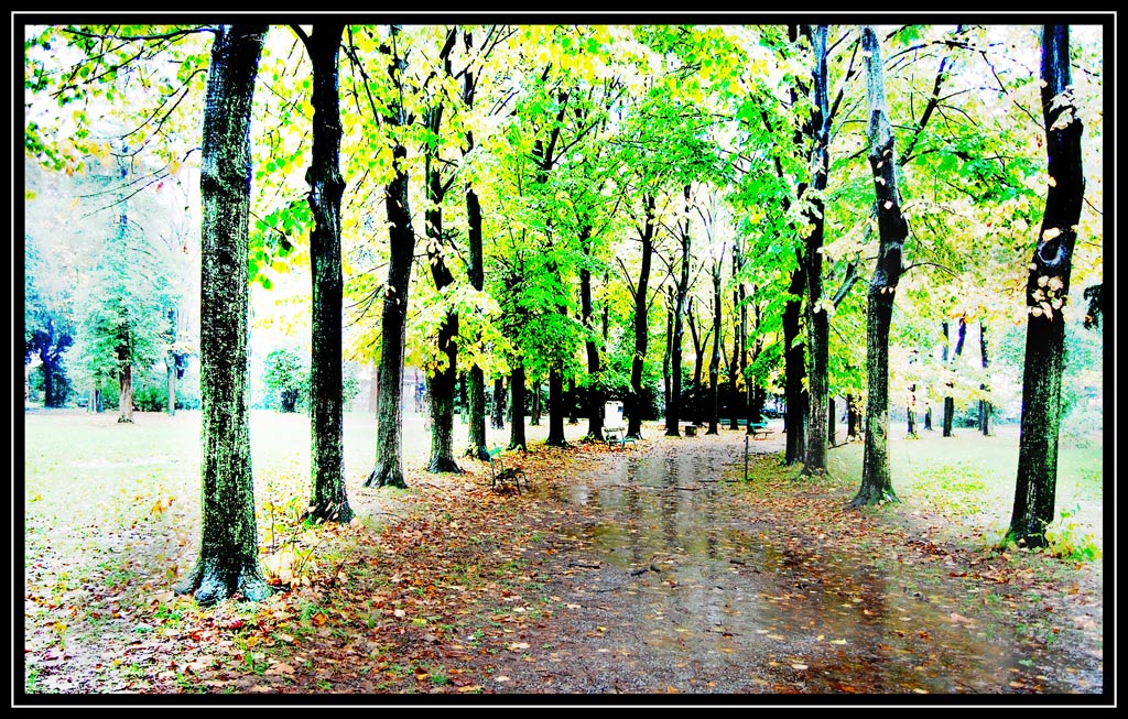 Interpretazione di un autunno