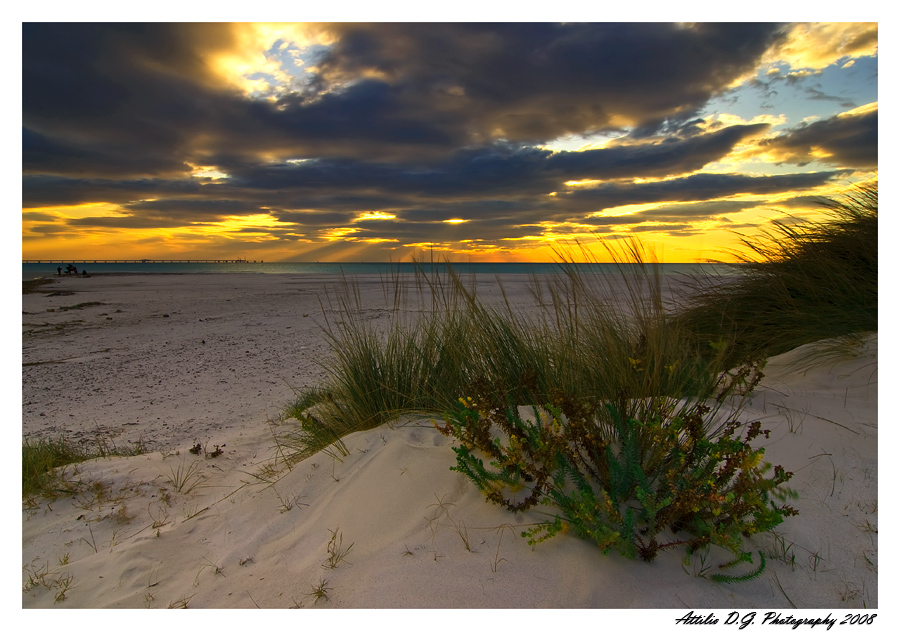 Desert incantation...