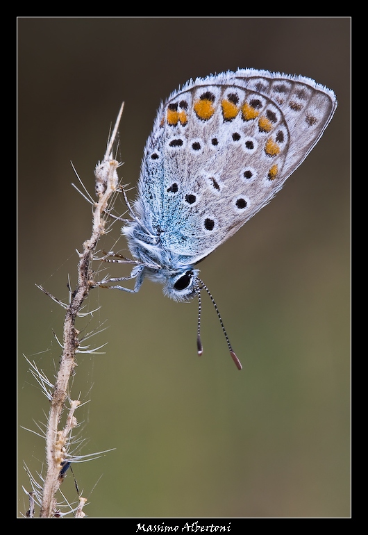 E' l'alba di un nuovo giorno!
