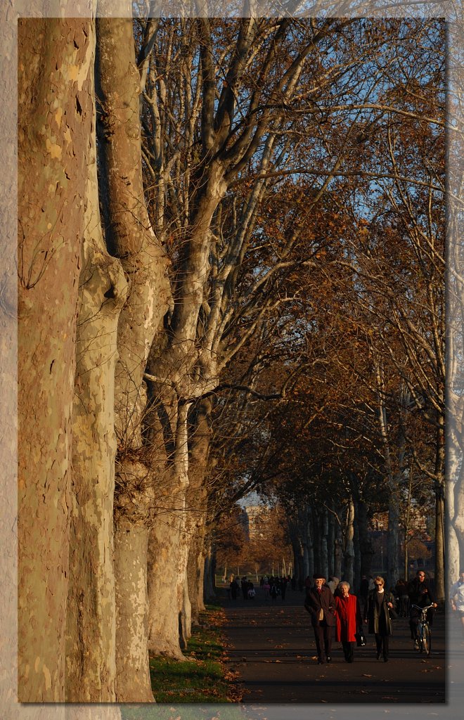 Viale Pubblico Passeggio