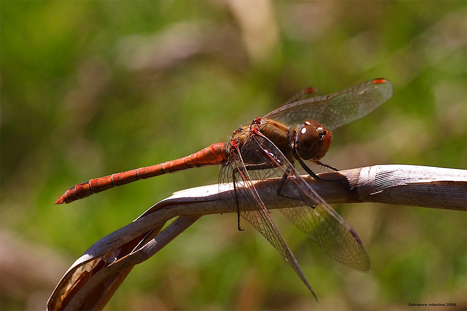 ...questa mattina...
