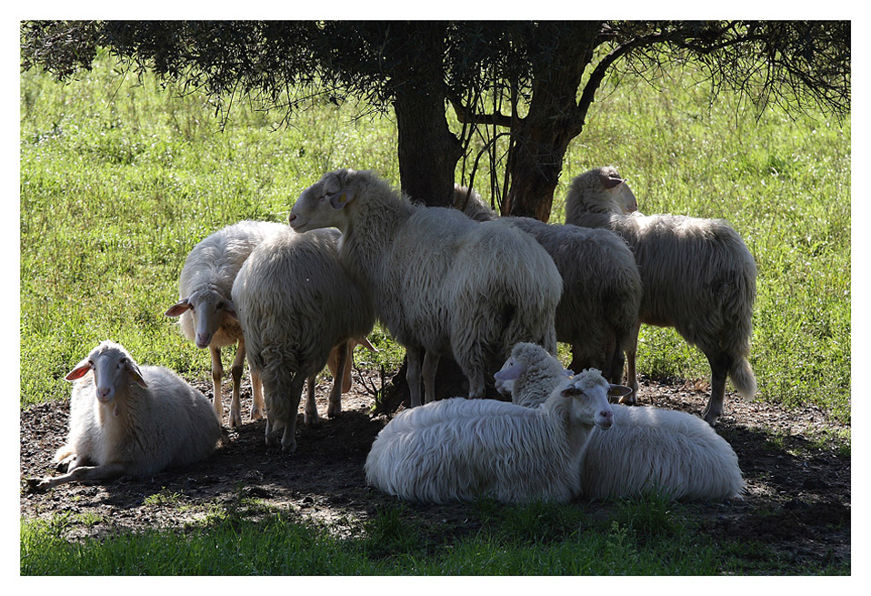 Riunione condominiale...