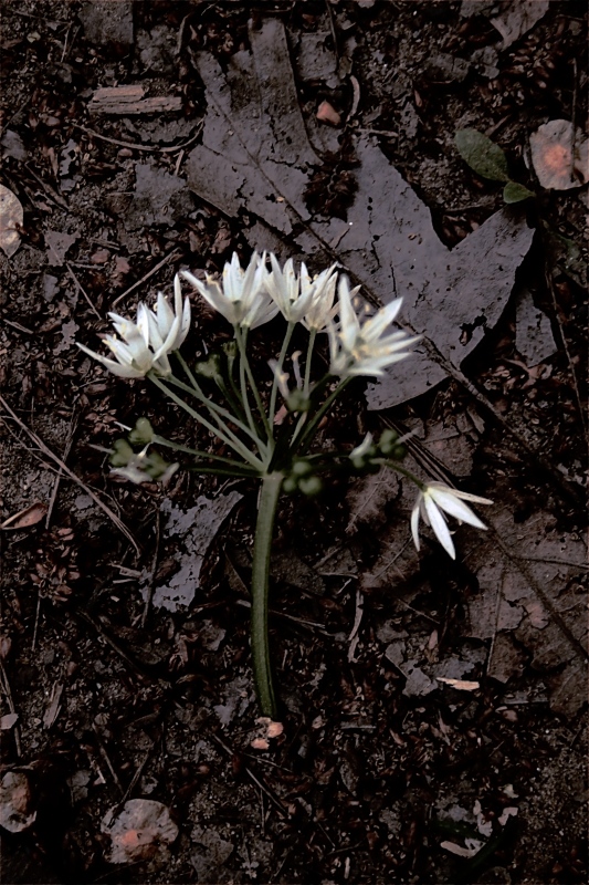Tutto Torna Alla Terra