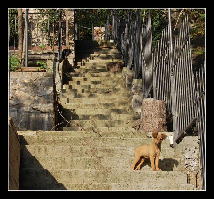 Dai...vieni gi�!!!