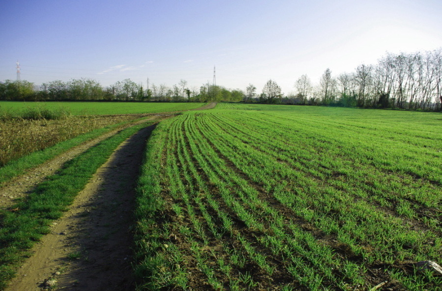 into the countryside..