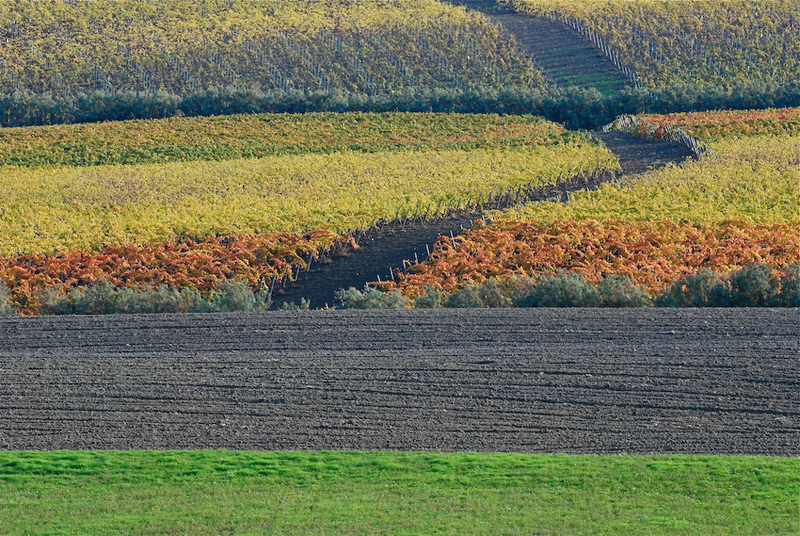 La strada tra i colori