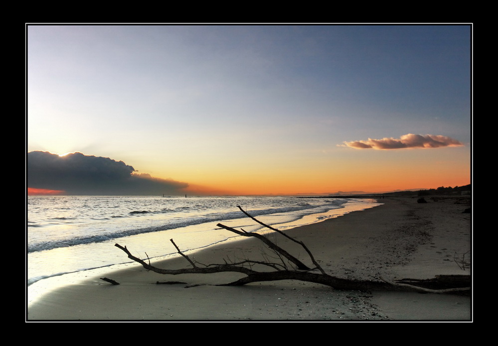 Walking in my little Paradise....