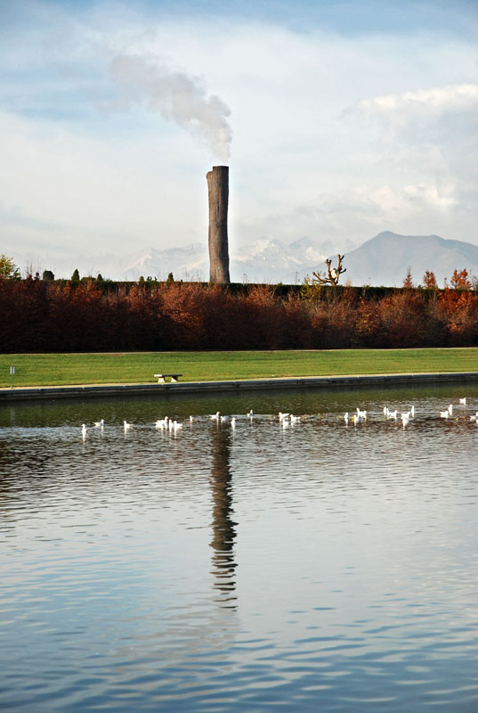 Se anche le piante fumano..... siamo messi male