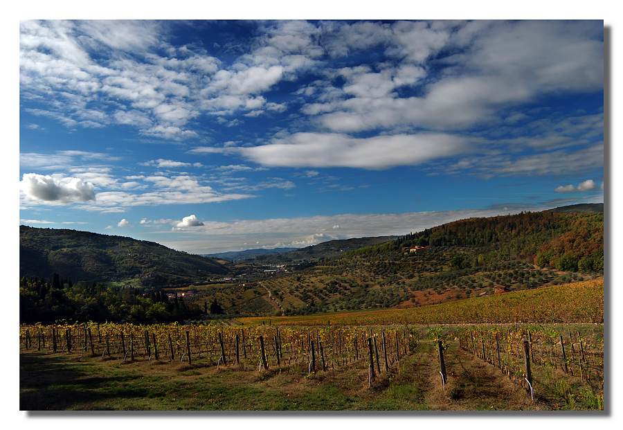Vigne e nuvole 3