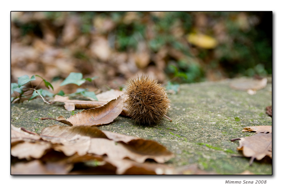 Autumn in Naples