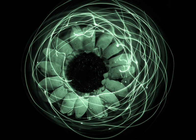 fare verde farebbe 2