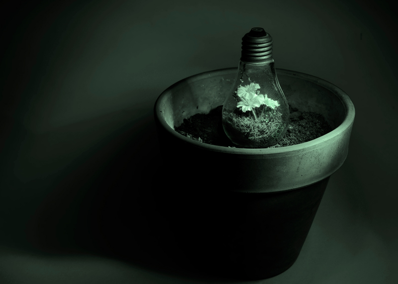 Fare verde farebbe 1