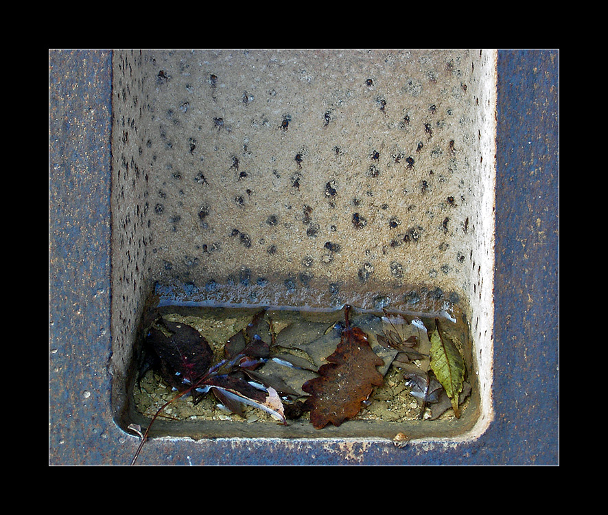 La fine di una esistenza...