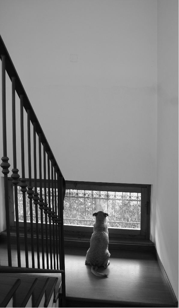 Is there anybody out there???