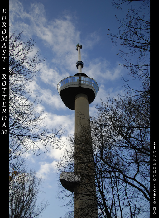 Cartolina da Rotterdam