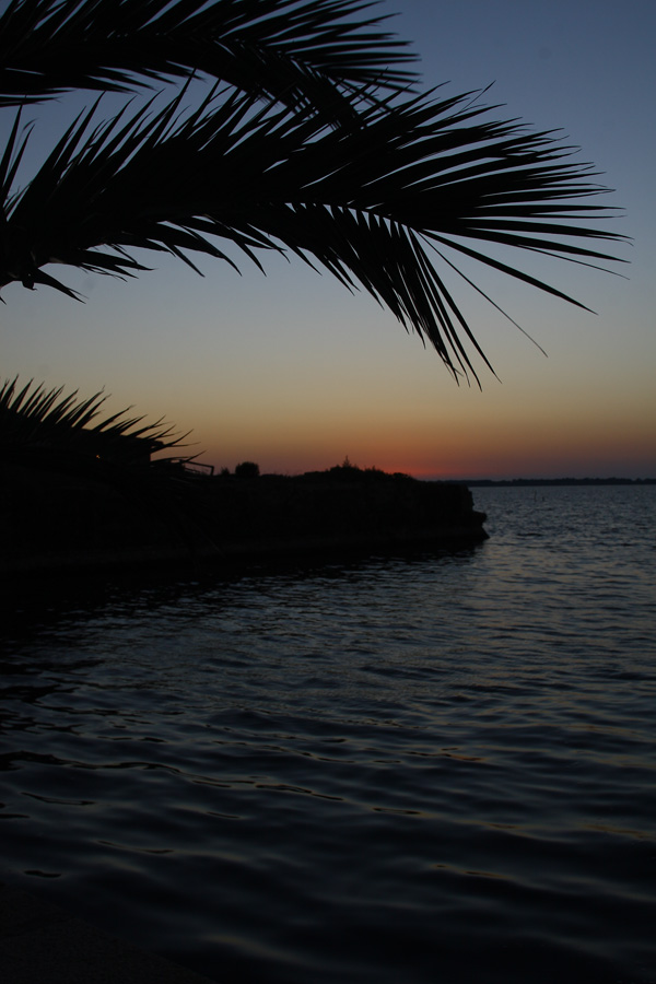 PALME AL TRAMONTO
