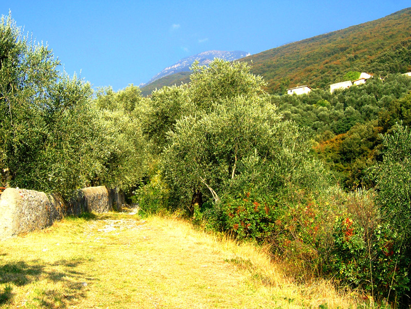Passeggiata verso Campo - Lago di Garda
