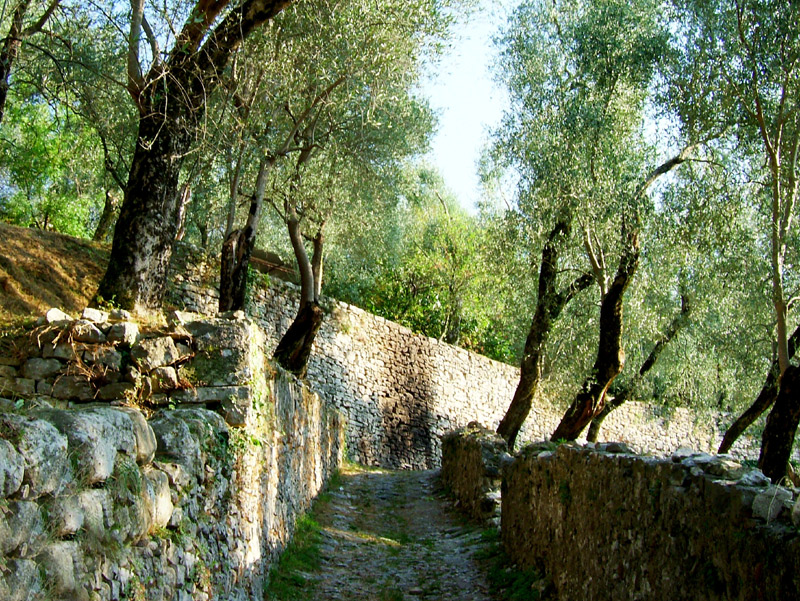 Passeggiata verso Campo - Lago di Garda