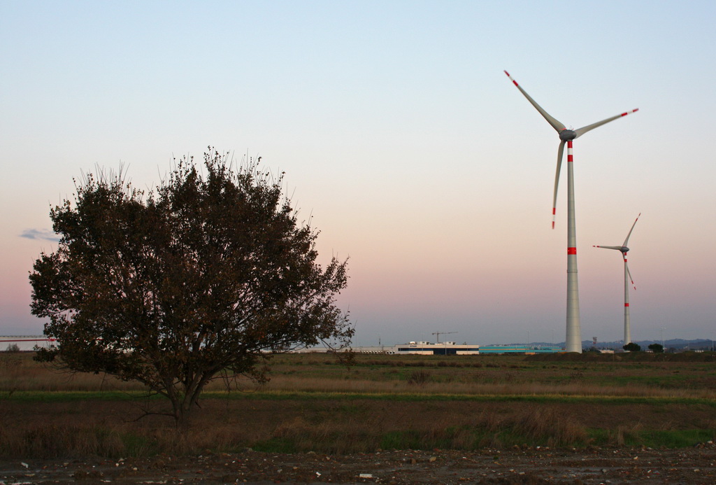 La natura...e chi la aiuta! (forse)