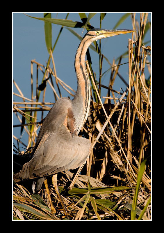 Laguna nord di Venezia